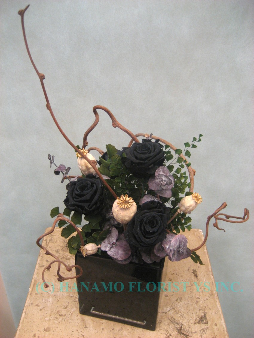 PRES010 Black Rose Preserved Arrangement in 4" Cube